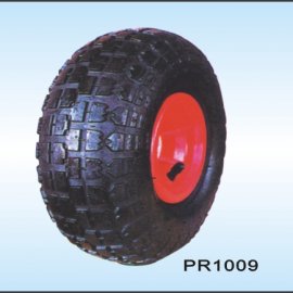 PR1009