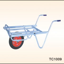 TC1009