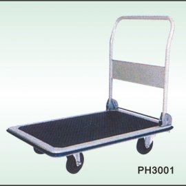 PH3001