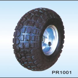 PR1001